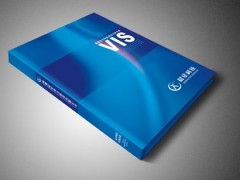 新鄉(xiāng)企業(yè)VI設計 塑造專業(yè)企業(yè)形象與品牌價值